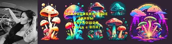 альфа пвп Заволжск