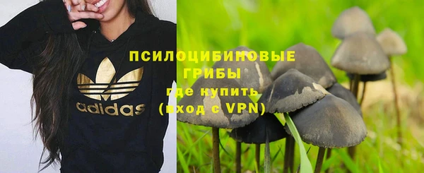 альфа пвп Заволжск