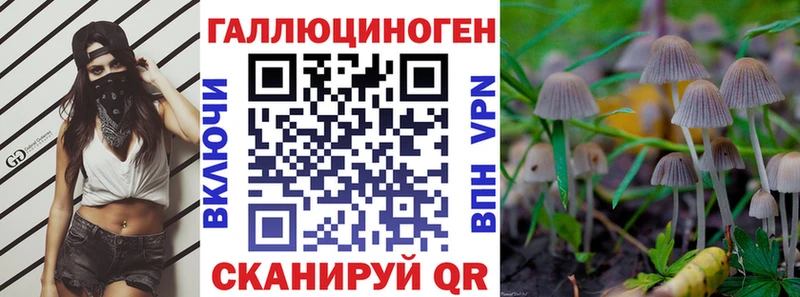 Псилоцибиновые грибы Psilocybine cubensis  Купить где  Михайловск 